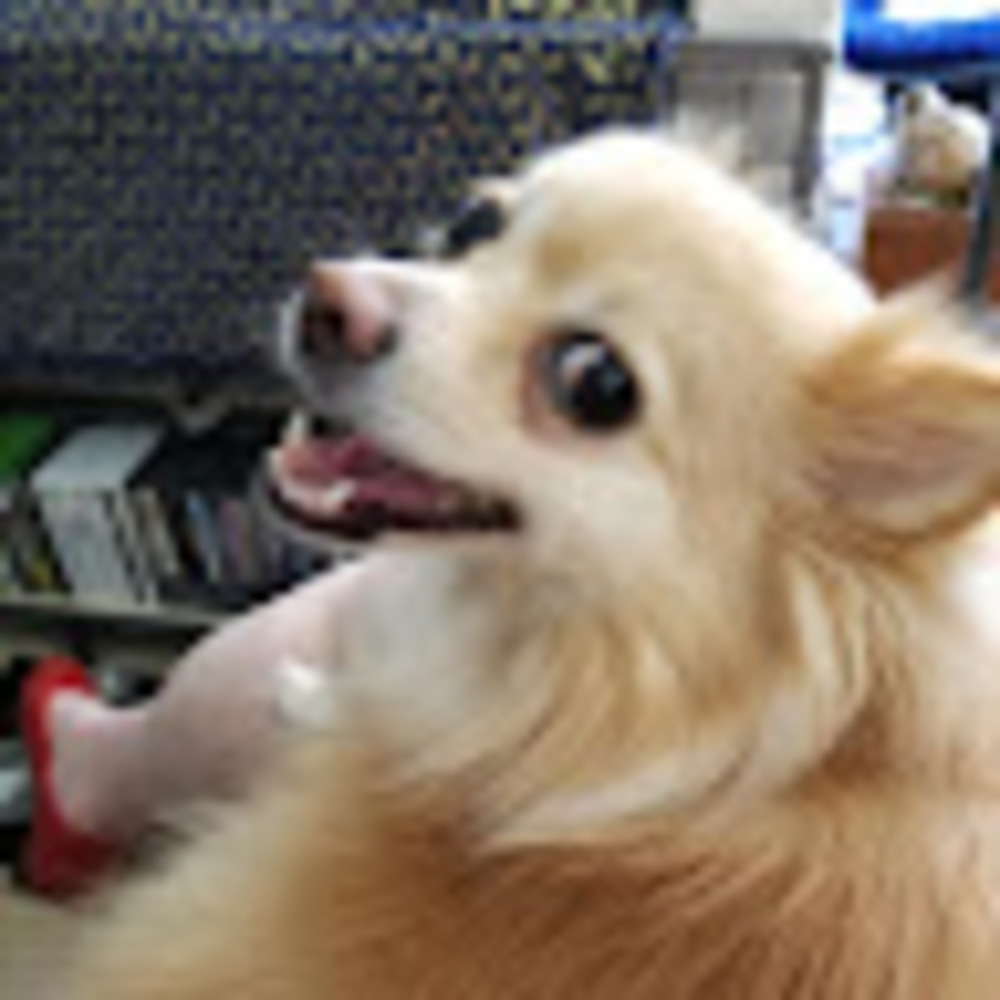 Meet your Posher, Katherine